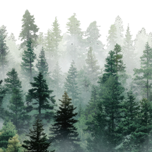 Virginian Cedarwood Essential Oil